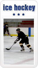 sports_icehockey