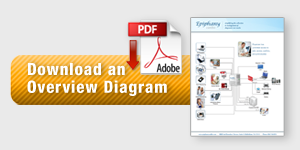 download_overview