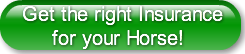 get-the-right-insurance-for-your-hor