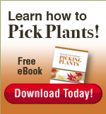 how-to-pick-plants-sidebar-cta2