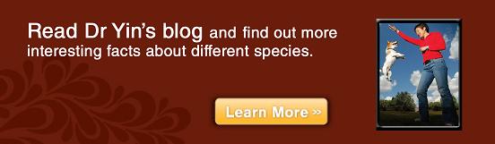 blogs-different-species-blog-ad