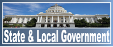 State & Local Gov Icon 230-96
