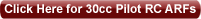 30cc-pilot-rc-arfs