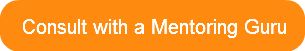 consult-with-a-mentoring-guru