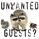 UnwantedGuestsSmall