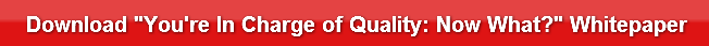 download-youre-in-charge-of-quality-n
