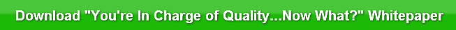 download-youre-in-charge-of-quality