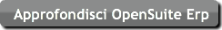 approfondisci-opensuite-erp
