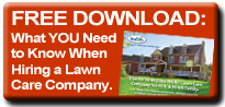 cta_side_hiringguide