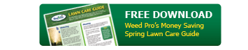 cta_free_lawn_care_guide