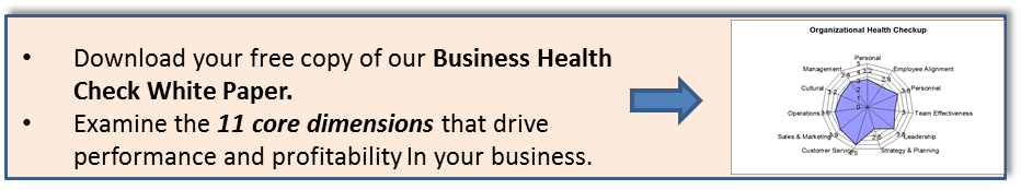 biz-health-check-whitepaper-2