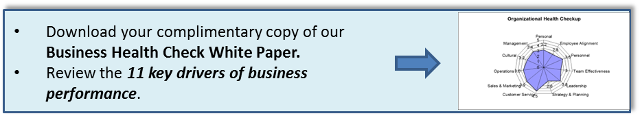 biz-health-check-whitepaper-3