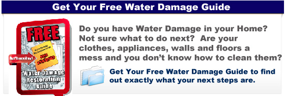 Free Water Damage Guide