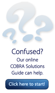 cobra-solutions-guide-cta-button