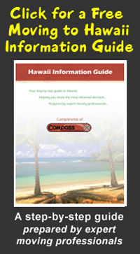 guide-ad