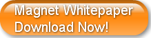 magnet-whitepaper-download-now