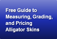 Free Guide to  Measuring, Grading,and Pr
