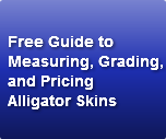 free-guide-to-measuring-gradingand-pr