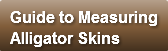 guide-to-measuring-alligator-skins