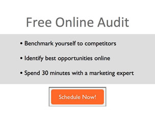 online-audit-cta_button002