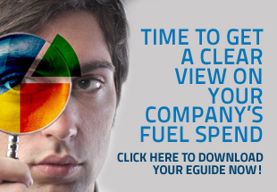 businessfuelcardscouk-template-banner-310-x-215-