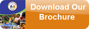               Download Our              