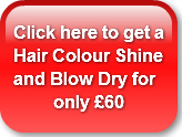click-here-to-get-a-hair-colour-shine-an