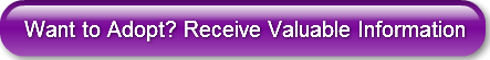 Want to Adopt? Receive Valuable Informat