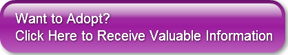 Want to Adopt? Click Here to Receive Val