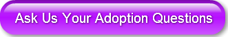 Ask Us Your Adoption Questions