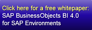 click-here-for-a-free-whitepaper-sap-bu