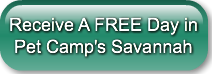 receive-a-free-day-in-pet-campaposs-s