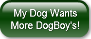 my-dog-wants-more-dogboyaposs