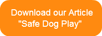 download-our-article-quotsafe-dog-pl