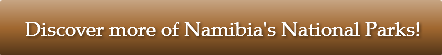 discover-more-of-namibiaaposs-national
