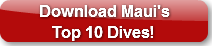 download-mauiaposs-top-10-dives