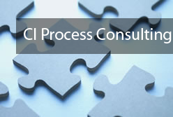 ci-process-consulting