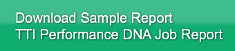 Download Sample ReportTTI Performance DN