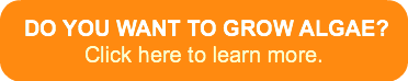 do-you-want-to-grow-algae-clic