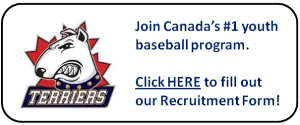 cta-terriers-recruitment-terriers-page2