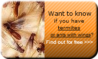 want-to-know