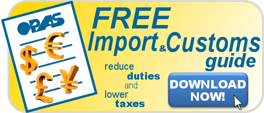 import-customs-guide-largec
