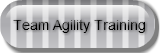 team-agility-training