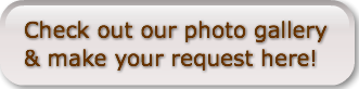 check-out-our-photo-gallery-amp-make-y