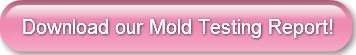 download-our-mold-testing-report
