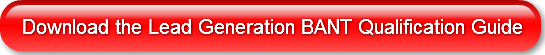download-the-lead-generation-bant-qualif