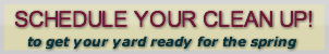 schedule-your-clean-up-to-get-your-y