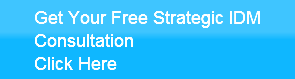 Get Your Free Strategic IDM Consultation