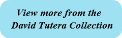 view-more-from-the-david-tutera-collec