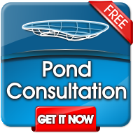pond-consultation-1